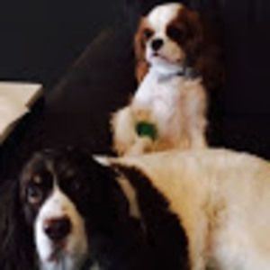 Meet your Posher, Paul